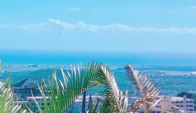 Calm Oasis in Paradise! Ocean view, Summer Special!