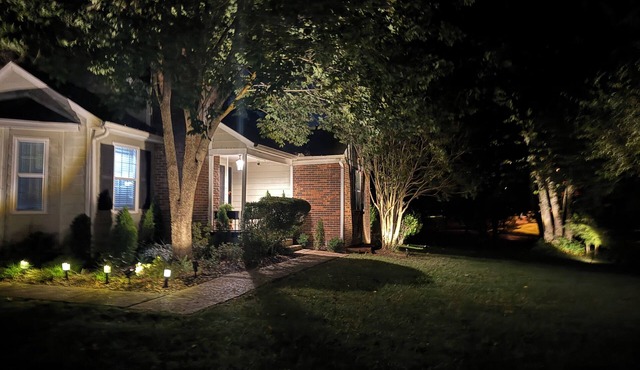 Convenient, cozy home surrounded by trees, 6 miles to BNA, 13 miles to downtown.