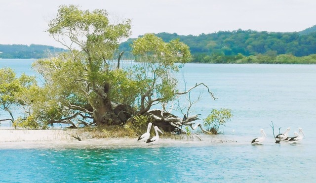 Coomera Houseboat Holidays