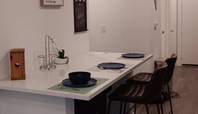 Cozy 1-bd 1 bth downtown SA near convention center, Riverwalk alamodome pearl