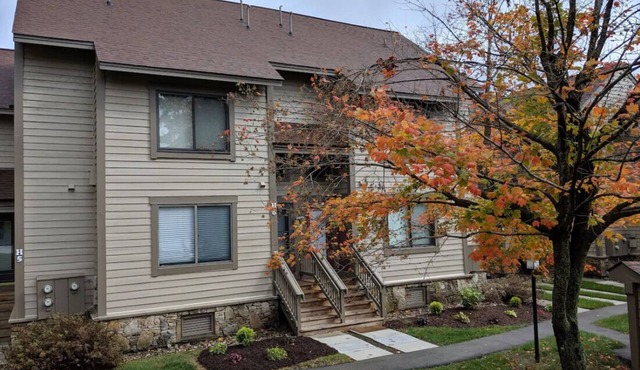 Cozy 2-bedroom Seven Springs Hike-out/Hike-in Condo
