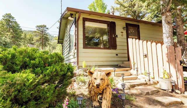 Cozy Mountain Escape with Hot Tub and Bikes. Dogs OK. Near RMNP ⛰️