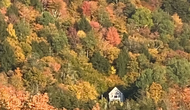 Cozy mountain-view retreat abutting the National Forest with views from deck