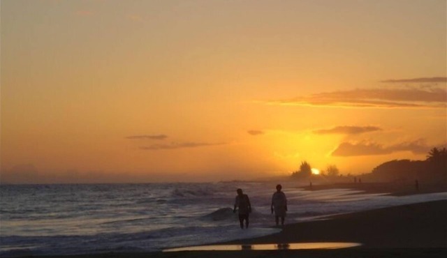 Custom Ocean View Cottage w/NEW AC, 100 Steps to Beach.Sunsets TVNCU #5016