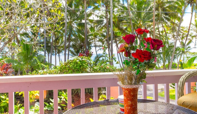 Dolphin Cottage w/AC @ Kehena Beach, Hawaii