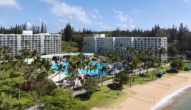 Exciting Water Adventures! Beachfront Resort! W/Pool Access & Airport Shuttle!