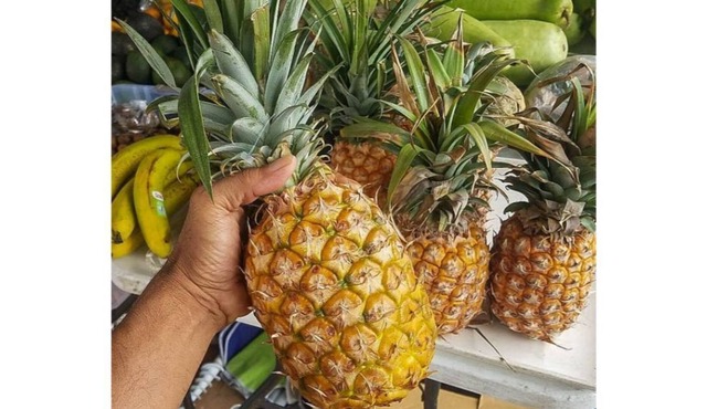 free Parking! 2 rooms private bath with Aloha