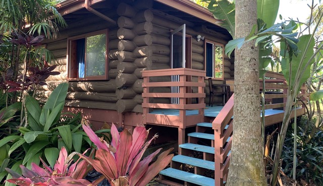 FROG POND: Cozy, family streamside/garden & cabin for 3-4 next to Waipio Valley
