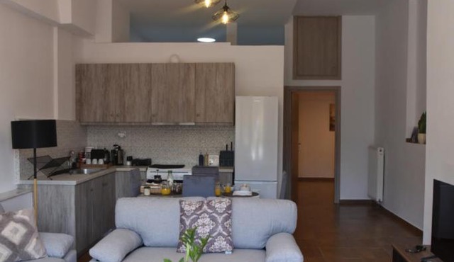 Fully renovated apartment-Trikala Agia Moni