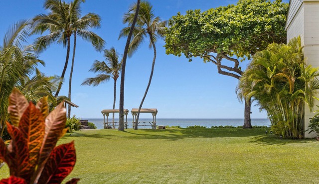 Ground Floor Beach Condo Spectacular Views AC in Bedroom 30 day Minimum Rental