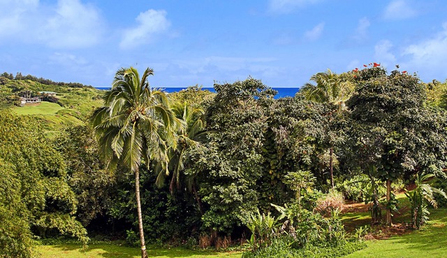 Hale Kai Kalani - Hosted By Parrish Kauai - Quaint cottage near the beach & bedr