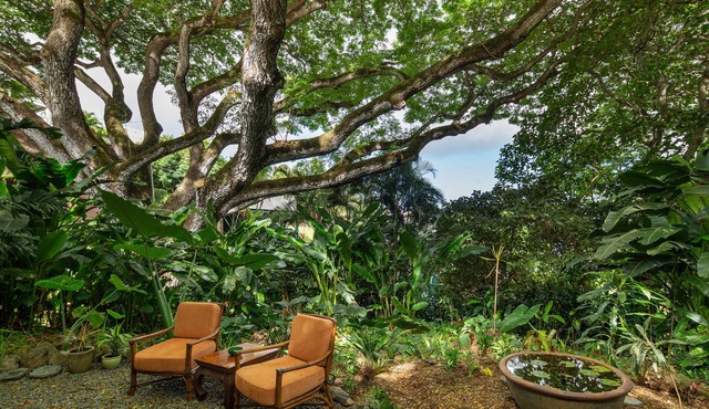 Hale Ulula'au - A peaceful forest retreat