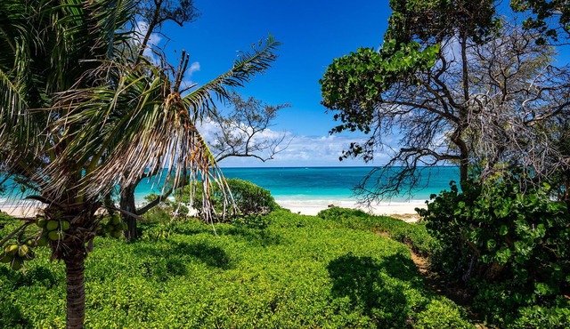 Hawaiian Beachfront Living! Gorgeous Whole Home on Oahu’s East Coast Sleeps 10
