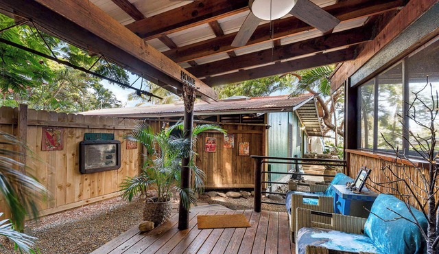 Hidden tree house - at the Jungle Hale