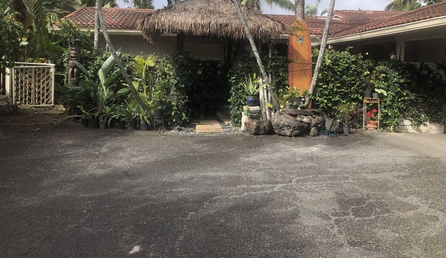 Island Paradise Living
