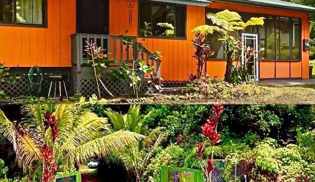 Jungle Home AC NearHot Ponds Fissure 8 Hot tub