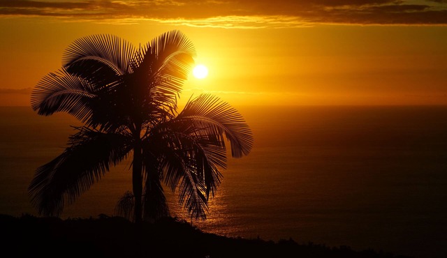 Kona Farm Stay - Amazing Ocean and Sunset Views