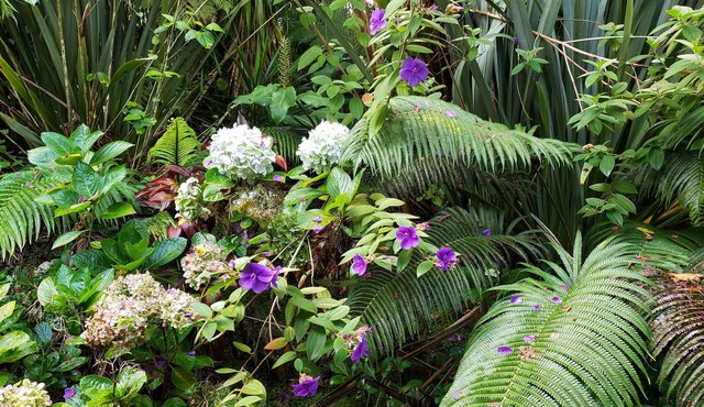 Lokahi Lodge