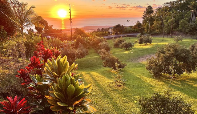 Lovely Ocean View Orchard House above Kona