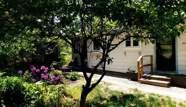Montpelier 3 bedroom house located on Terrace St a 5 min walk to downtown.