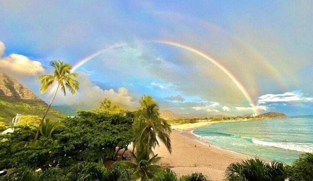 Newly Renovated Beachfront Studio with Free Parking and All-in-one Washer/Dryer