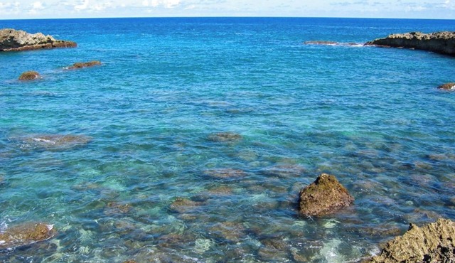 North Shore Paradise- Close to some of the BEST surfing