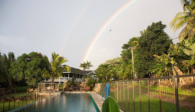 North Shore Tropical Hale