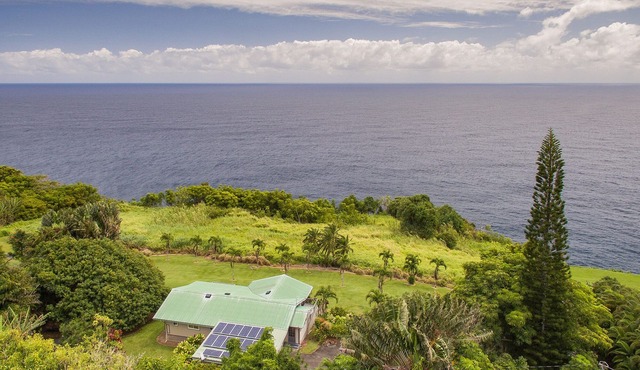 Ocean Bluff Home on Hamakua Coast - Hale Hamakua