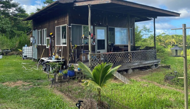 Off grid cabin with ocean view