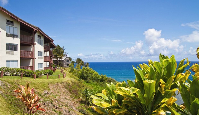 OFFICIAL LISTING | Wyndham - Shearwater 2 BR Oceanfront Suite w/WiFi & More!