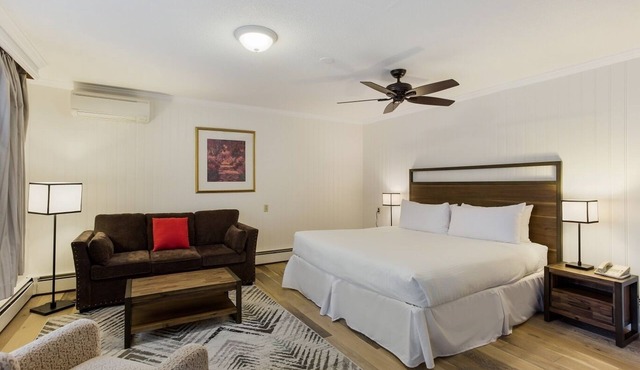 Palmer House Resort - Deluxe King Bed 1