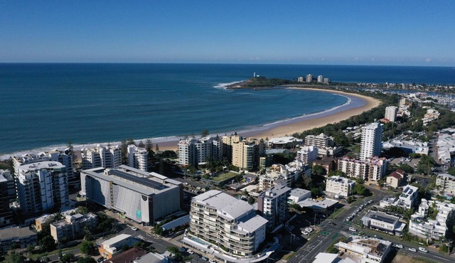 Pandanus Mooloolaba