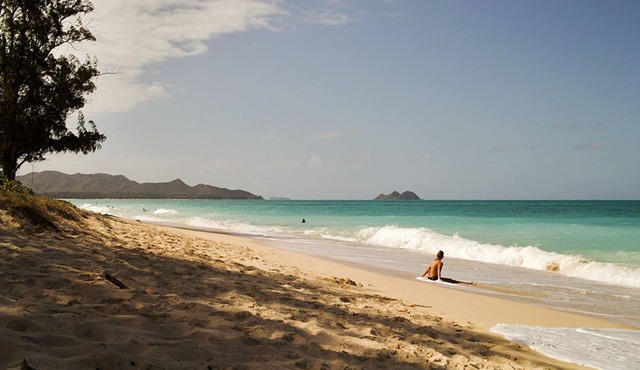 Paradise Found Waimanalo - Quiet & Private Beachside Suite with Air Conditioning