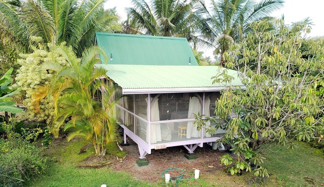 Peaceful Cabin on the Puna Coast