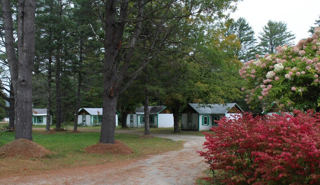 Pine Valley Cabins