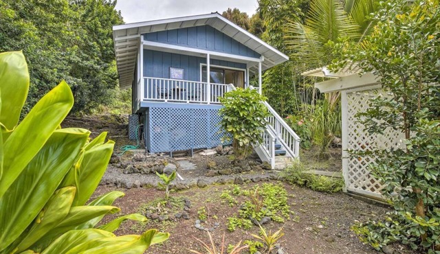 Pineapple Cottage surrounded by coffee plantations