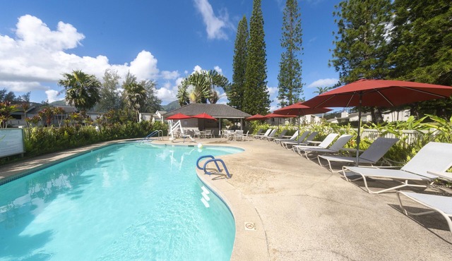 Prime Location! 4 Comfortable Units, Free Parking, Outdoor Pool!