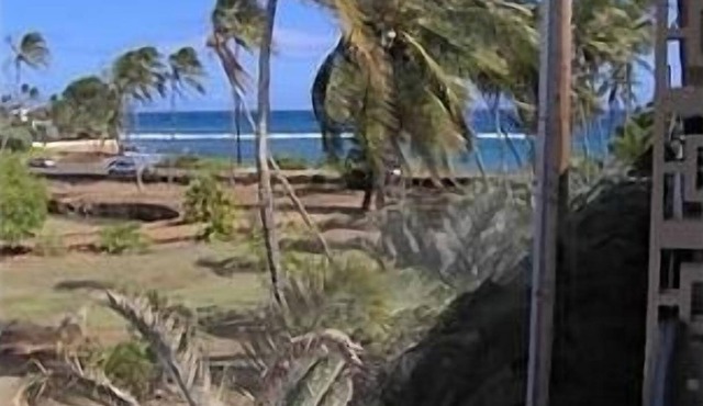 Prince Kuhio 331 Honeymoon Perfect