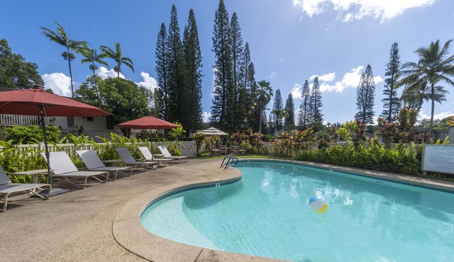 Relax and Unwind! 2 Spacious Units, Outdoor Pool and Free Parking!