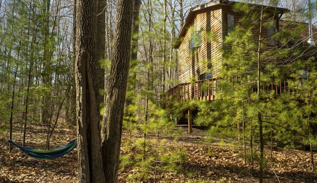 Relaxing House in Catskills Forest Near Pretty Pond - near Woodstock/Phoenicia.