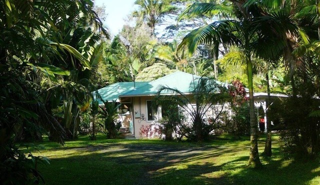 Room for Family and Friends in a Secluded Rain Forest Setting