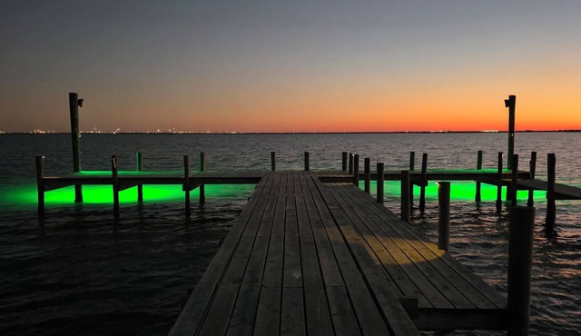 San Leon, Galv Bay- 300' Private Pier w/Green Fishing Lights! Immaculate home!