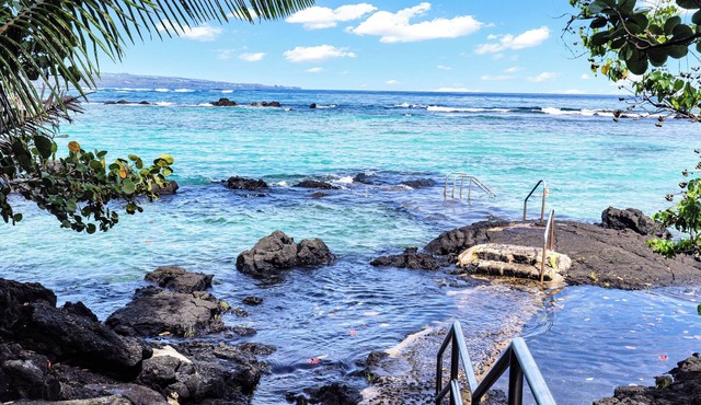 Sea Turtle Suite - Steps from Carlsmith Beach!