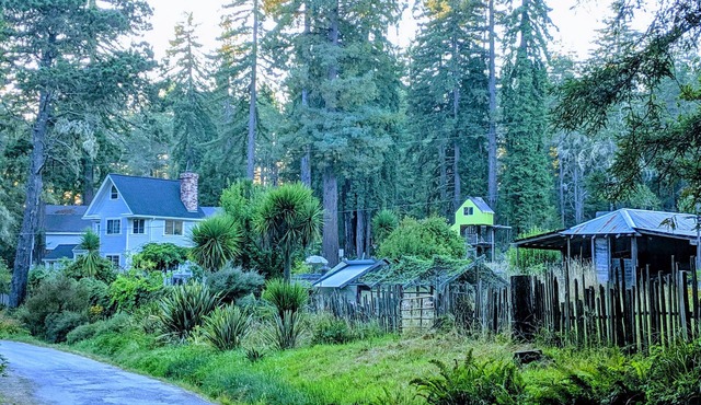Spacious, Private 3+ bedroom farmhouse near Salt Point State Park: 31+day rental
