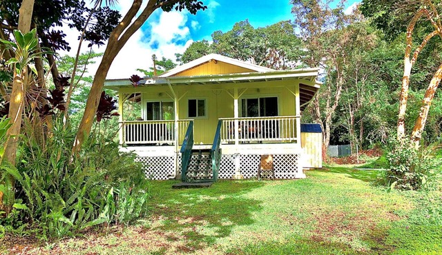 Sunset Suzy's tropical retreat! One free night! After 7 nights.