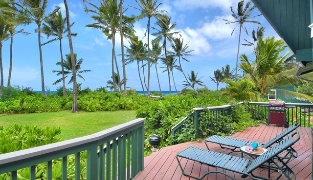 Waiohonu Lush, tropical foliage, Beachfront Home