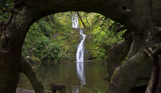 Waipio Botanical Gardens in the heart of Waipio with waterfall & beach access!