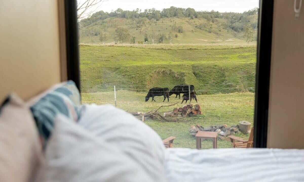 Photo of Others in Rock Valley