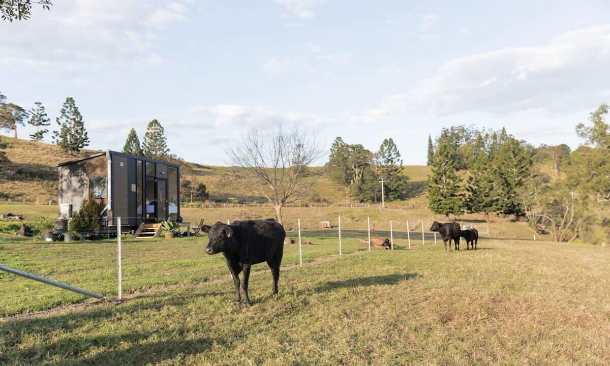 Photo of Outdoor in Rock Valley