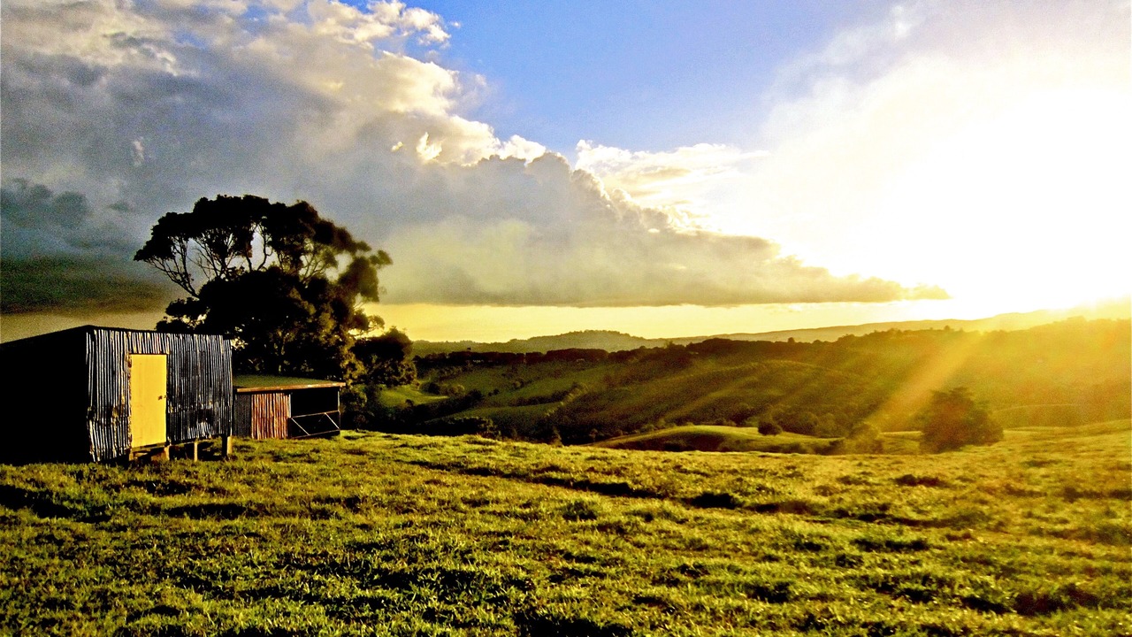Photo of Outdoor in Coorabell
